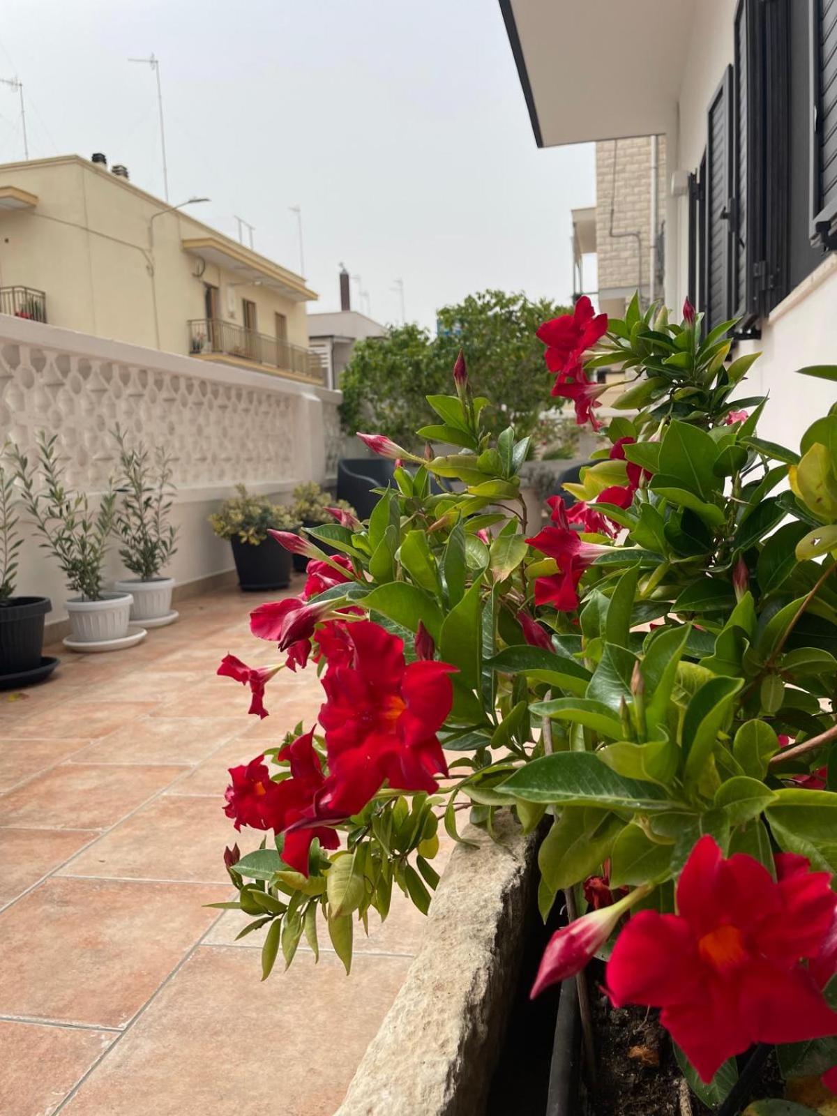 Vila Rosa Dei Venti Polignano a Mare Exteriér fotografie